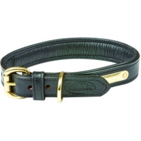 Gepolstertes Hundehalsband Aus Leder